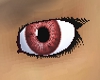 Eyes Blood[F]