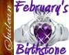 [SG] Birthstone February