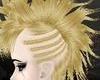 MOHAWK