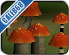 Shrooms 06