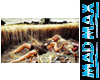 #M2 Picture Sexual 44 AP