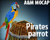 Pirates parrot