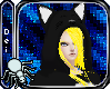 [TNT]Fox Kigu