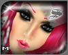 +SS+ Queen Head Limited
