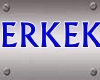 1-ERKEK SES SUPER