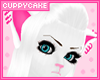 sugar kitty