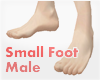 *Small Foot Male