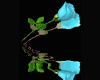 Teal Rose Love reflectio