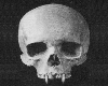 [ChiKi]VampSkull.T-Shirt
