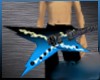 xfrozt Guitar
