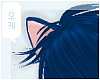 `SHUGO| Ikuto ears.