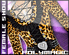 [PM] Leopard Top 161