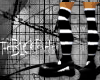 Black Parade