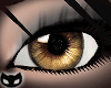 [SIN] Sparkling <3-Gold