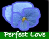 *MB-PerfectLoveFlowers*