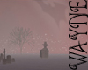 DC Wayne Cemetery