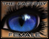 TF Cat Eyes Blue