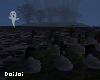 Cemetary 1