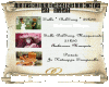 invitation BelSong