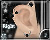 Z7 MultiPiercings Rght-F