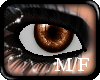 {A} BrwnShyn Eyes