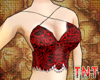 Midnight/Torch Camisole