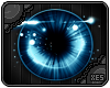 xes� Lucid | Cyan