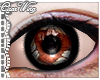 Tearful Greys