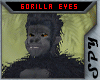 [SPY] Gorilla Eyes