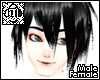 [Y]Shinigami Masahiko