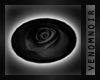 VN DesireNoir Rug