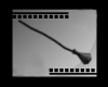 (TSD) Witch Broom