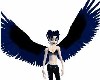 Black & dark blue wings