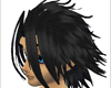 Black Highlighted Hair