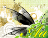 [Aa] BlackWings