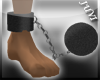 JUVI Prisoner Shackles