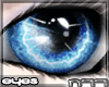 [n77] Dream Sky