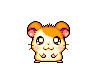 Cute hamster. ^^