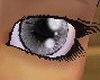 Tropic Grey Eyes