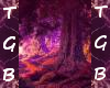 Enchanted Forest