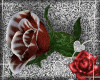 Red Winter Rose By RedWinterRose
