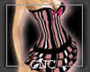 [GNC] Mini Daisy