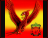 liverpool fc