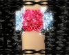 SEL *Ruby Red Ring*