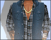 tc. Plaid 2
