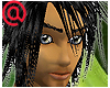 PP~Vbse Mocha