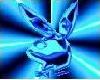 Payboy bunny strip club