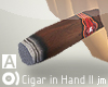 Cigar in Hand II | jm