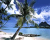 Tropical Paradise