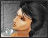 [GNC] Mr. Gentleman